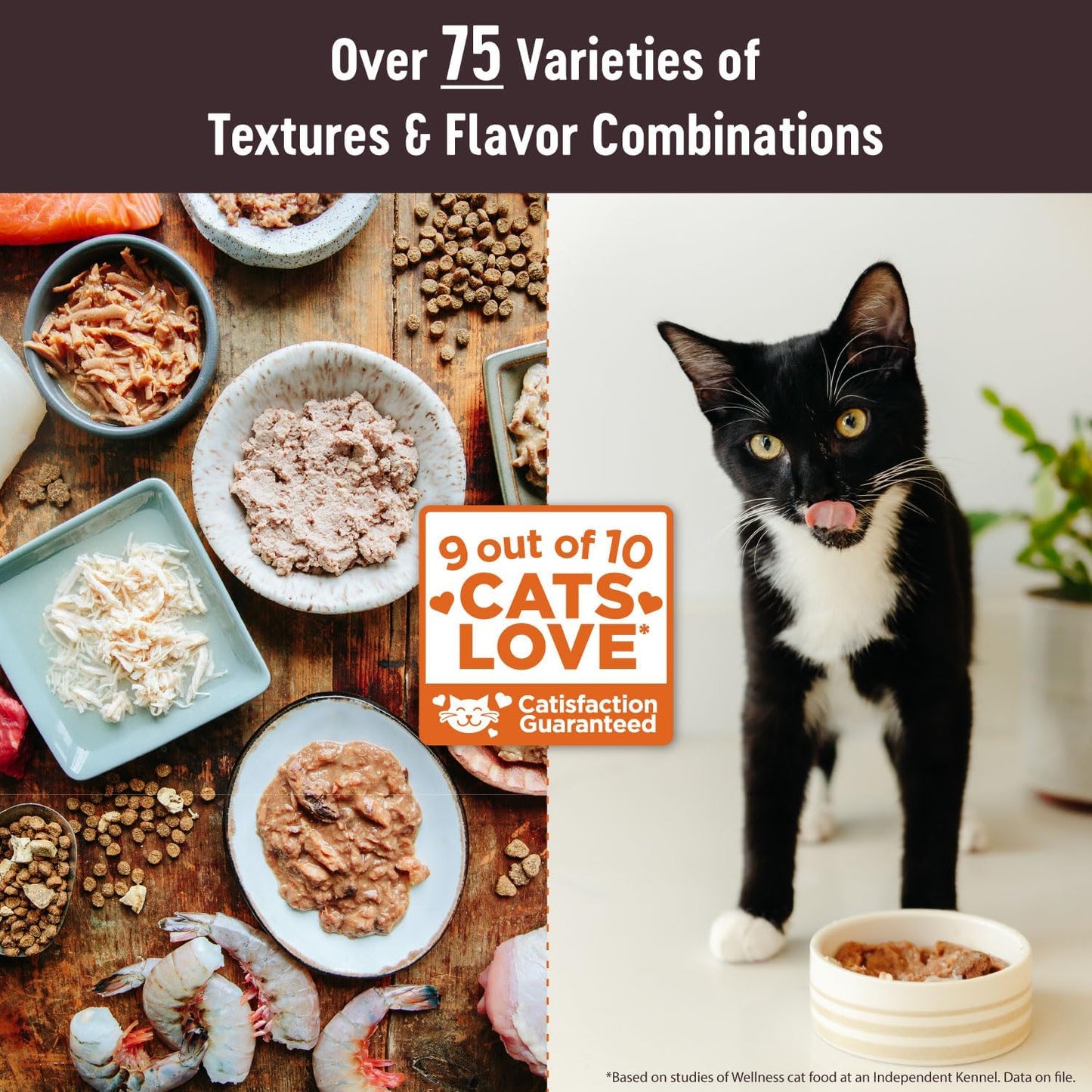 Wellness CORE Tiny Tasters Wet Cat Food, Complete & Balanced Natural Pet Food, Made with Real Meat, 1.75-Ounce Pouch, 12 Pack (Adult Cat, Tuna & Salmon Pate)