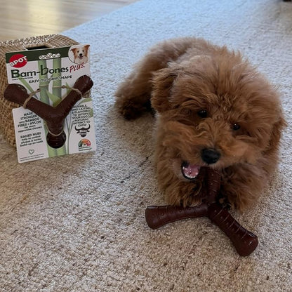 SPOT Bam-Bones Plus Tripod, Bamboo Fiber & Nylon Dog Chew, Durable - Image 11