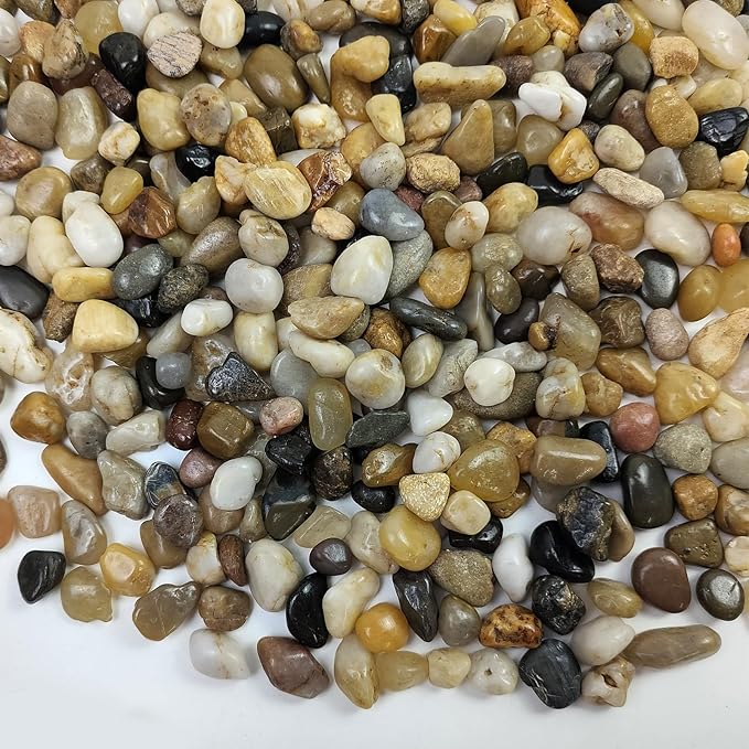 FANTIAN 10 lbs Aquarium Pea Gravel, 3/8 Inch Polished Pebbles. Decorative by FANTIAN-GardeningMakesLifeBetter