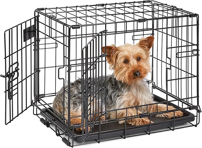 MidWest Homes for Pets 18-Inch iCrate for Tiny Breeds, Double Door Folding Dog by MidWestHomesForPets