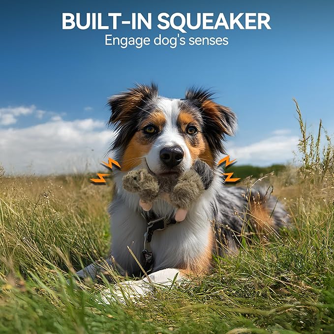 ALL FOR PAWS Classic Squirrel Pet Toys - Image 3