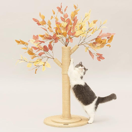 Meowoou Cat Scratching Post for Indoor Cats Adults 42 Inch Tall Cat Scratcher by Meowoou