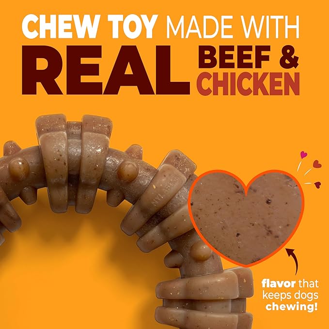 Nylabone Strong Chew Textured Ring Dog Toy Made - Image 2