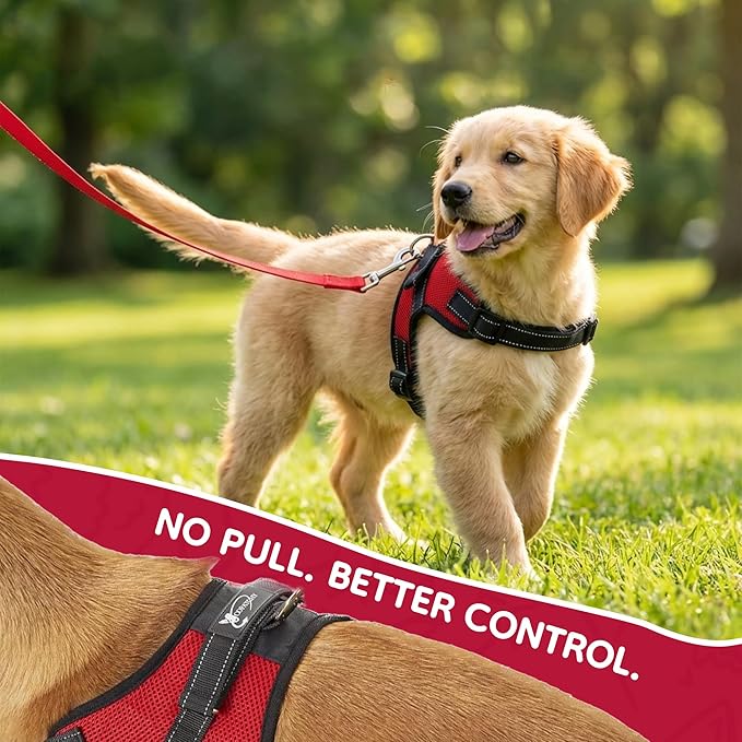 No Pull Reflective Adjustable Dog Harness - Image 6