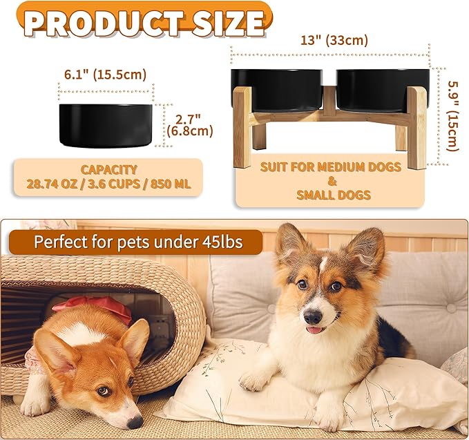 Elevated Ceramic Dog Bowl Set - Image 2