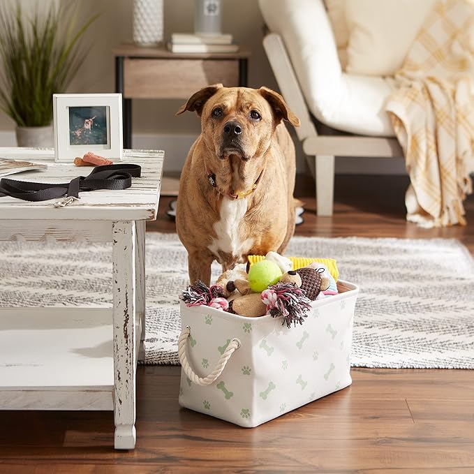 Bone Dry Pet Storage Collection Paw and Bone Print, Small Rectangle - Image 2