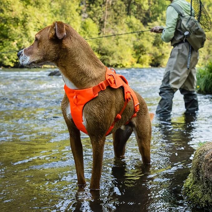 Ruffwear, Web Master, Hiking and Trail Running, Service and Working, Everyday - Image 6