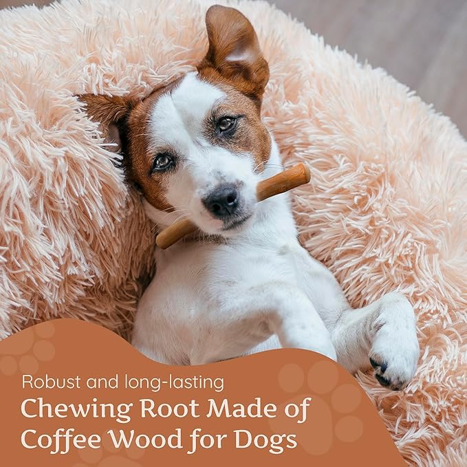 Wildfang® Coffee Wood Dog Chew, XS – Tough Chew Toys - Image 8
