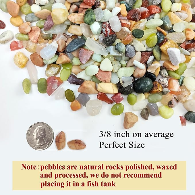 FANTIAN 2 Pounds Pebbles for Plants, 3/8 Inch Succulent Rocks, Decorative - Image 2