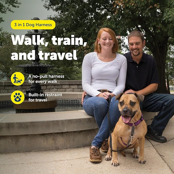 PetSafe 3 in 1 No-Pull Dog Harness - Image 2