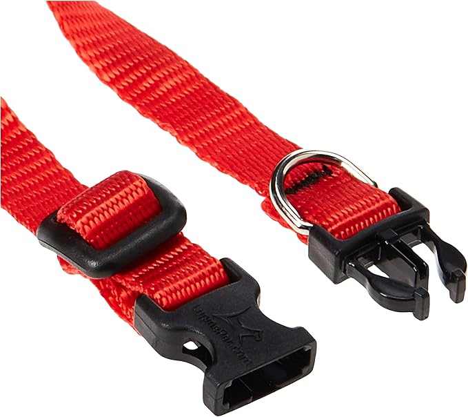 LupinePet Basics 1/2" Red 6-9" Adjustable Collar - Image 2