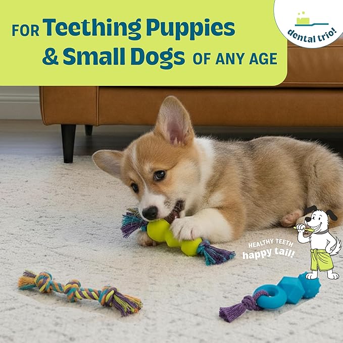 Mini Dentachew Pack Dental Chew Toy, Fetch & Tug Rope, Puppies & Small Dogs - Image 2