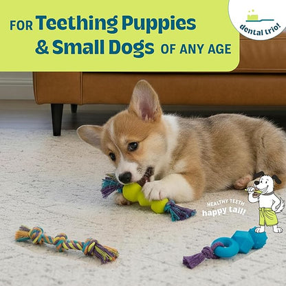 Mini Dentachew Pack Dental Chew Toy, Fetch & Tug Rope, Puppies & Small Dogs - Image 2