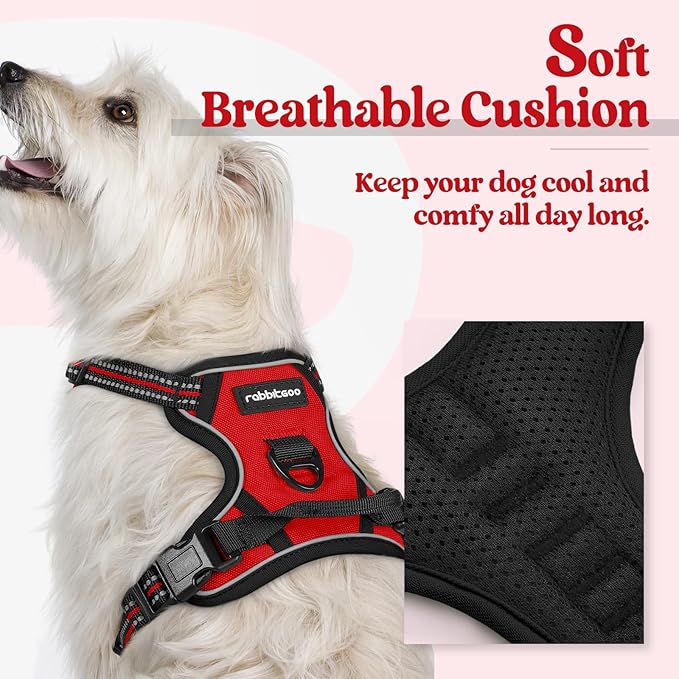 rabbitgoo Dog Harness No Pull - Image 2
