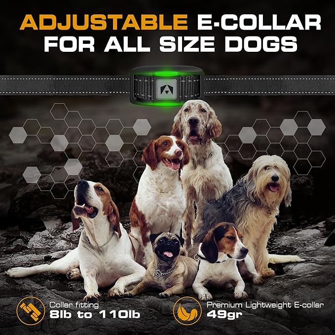INVIROX 2026 Edition Dog Training Collar - Image 6