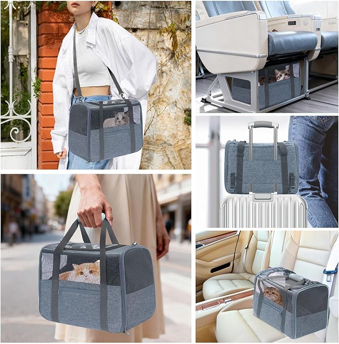 JUNGYOUN Premium ​Cat Carrier - Image 3