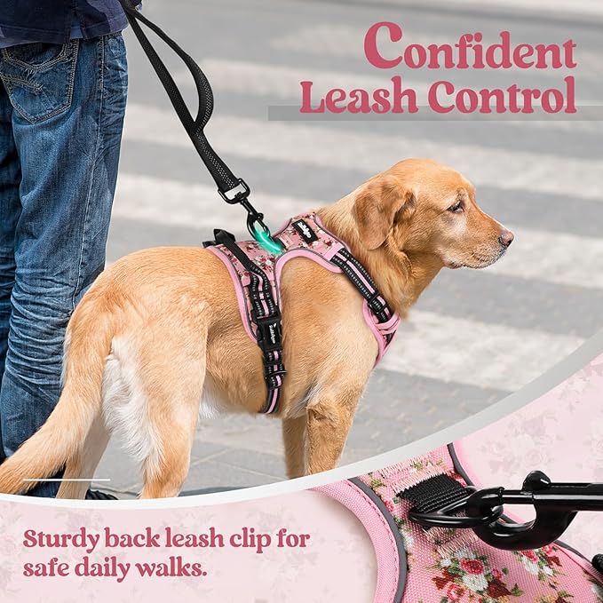 rabbitgoo Dog Harness No Pull - Image 6