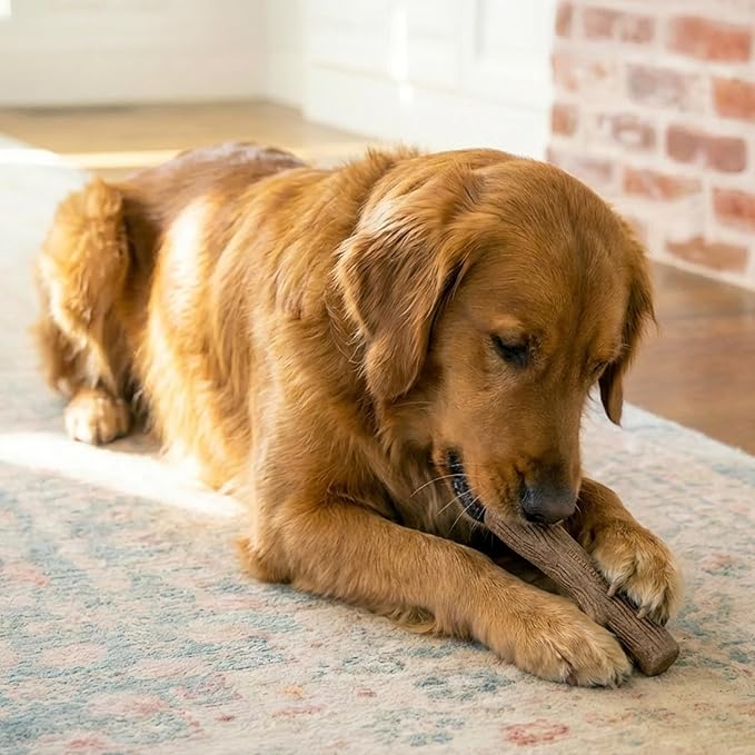Pupstages Dogwood Dog Chew Toy, Made in the USA – Real-Wood Blend, Natural - Image 5