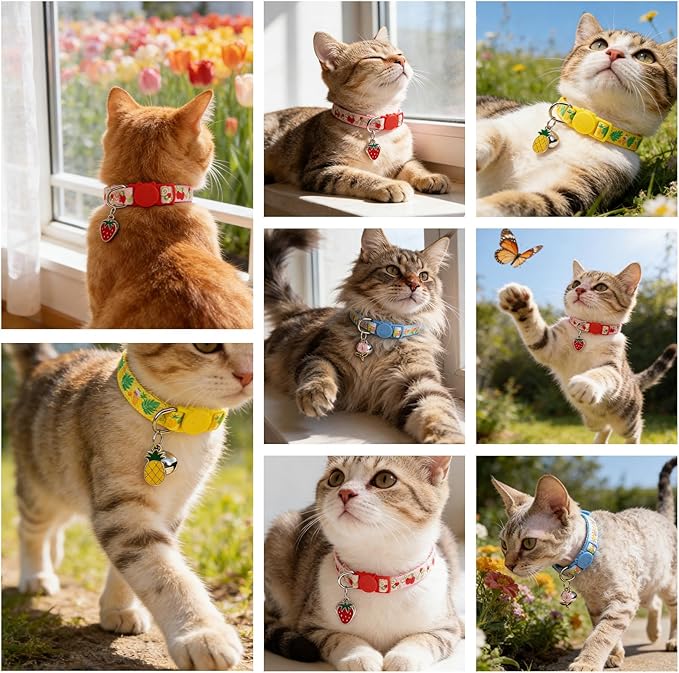 EXPAWLORER Flower Cat Collar Breakaway - Image 6