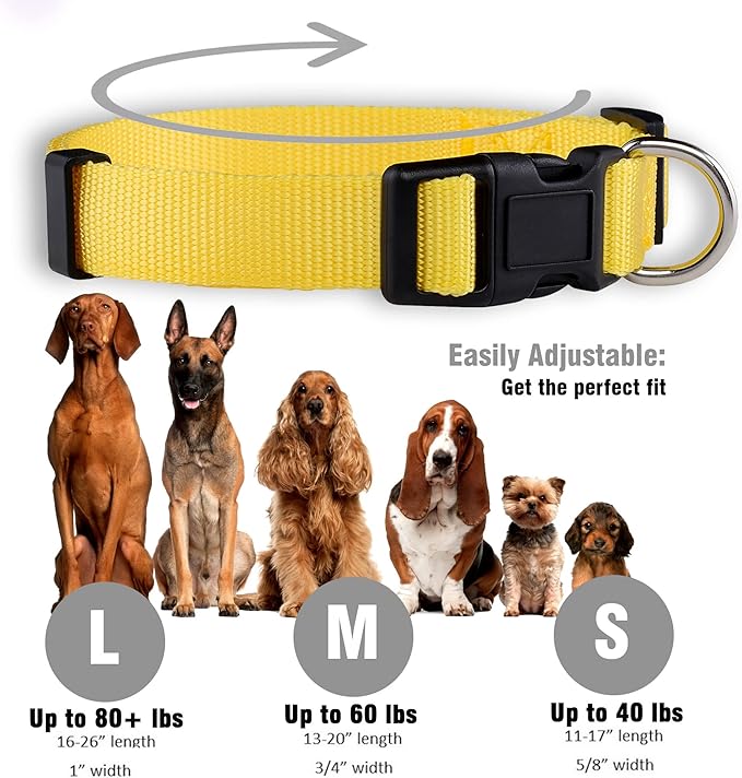 Native Pup Basic Nylon Dog Collar, Adjustable - Image 3