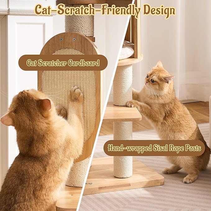 Modern Solid Wood Cat Tree for Indoor Cats Large Adult, 50in Tall Cat Tower - Image 5