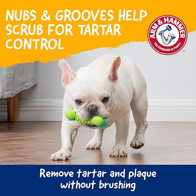 Arm & Hammer for Pets Nubbies Duality Bone Dog Dental Chew Toy Green Apple - Image 3