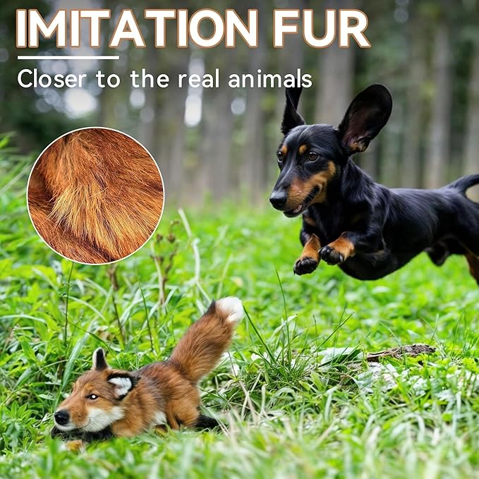 ALL FOR PAWS Squeaky Doy Toy, Fox Dog Toy for Small Medium Breed, Puppy Fetch - Image 8