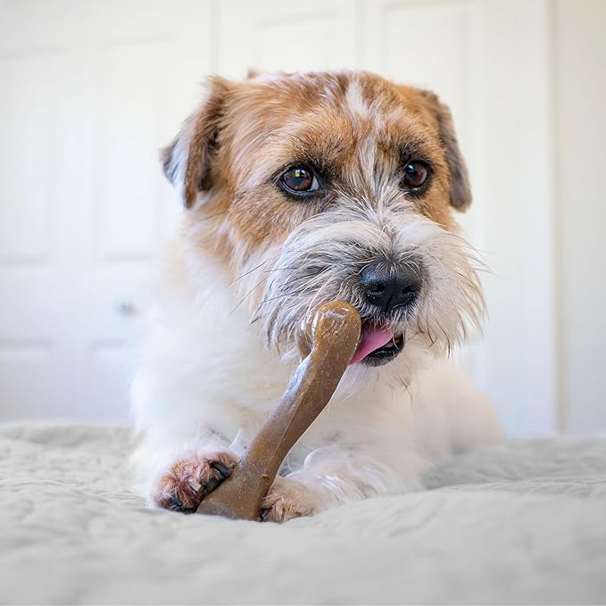 Nylabone Strong Chew Femur Bone Dog Toy Made - Image 5