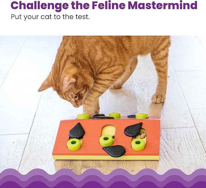 Catstages Nina Ottosson Melon Madness Puzzle & Play Cat Puzzle Feeder – - Image 2