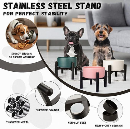 Raised Ceramic Dog Bowl, 6.1'' Modern Feeding Bowl - Image 3