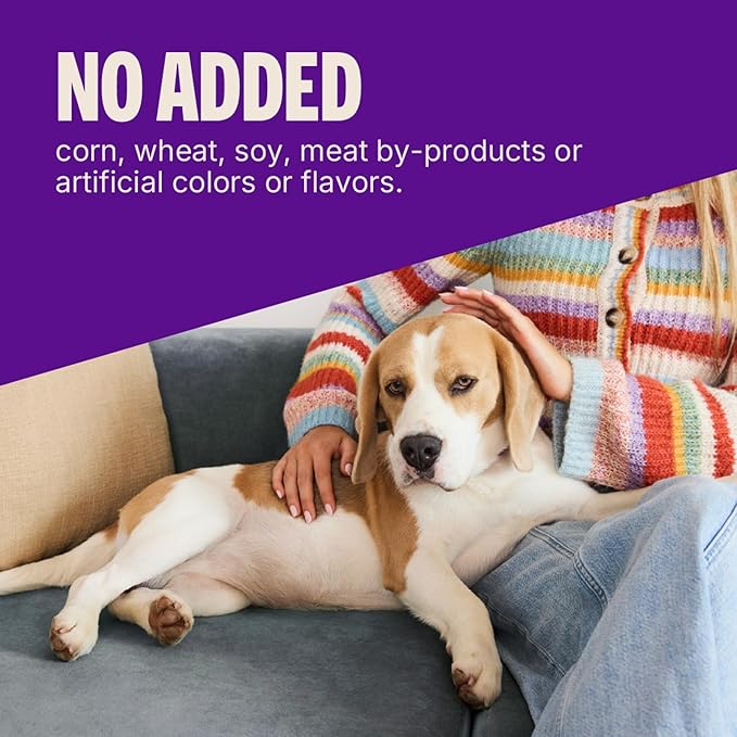 Wellness Crunchy Puppy Bites Dog Training Treats, Grain Free, Chicken and - Image 6