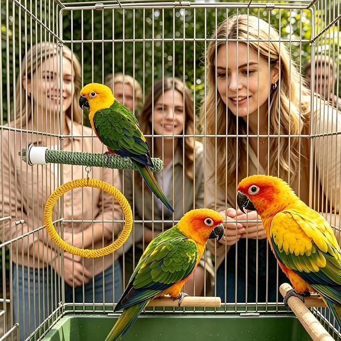 Parrot Swing Toys - Image 2