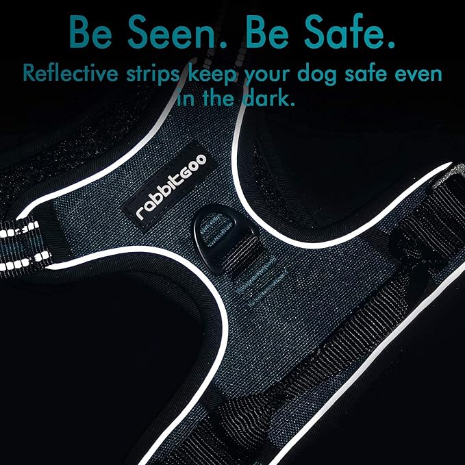 rabbitgoo Dog Harness No Pull - Image 7