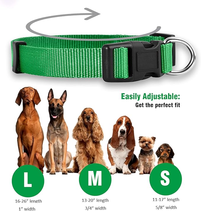 Native Pup Basic Nylon Dog Collar, Adjustable - Image 3