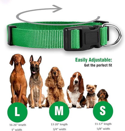 Native Pup Basic Nylon Dog Collar, Adjustable - Image 3
