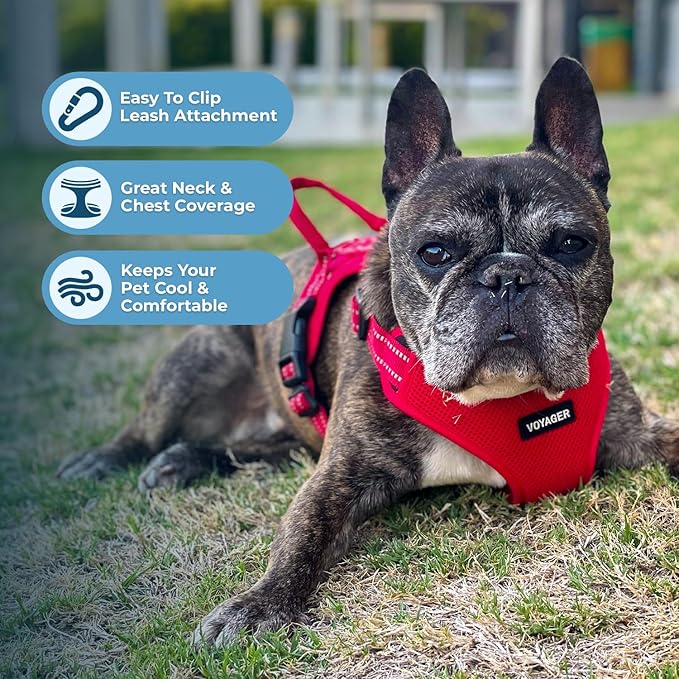 Best Pet Supplies Voyager Adjustable Step-in Flex Breathable Mesh Dog Harness - Image 5