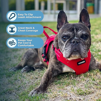Best Pet Supplies Voyager Adjustable Step-in Flex Breathable Mesh Dog Harness - Image 5