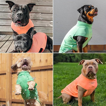 Spark Paws Sunblock Dog T-Shirt, SPF30 Protection, Lightweight Breathable Quick - Image 6