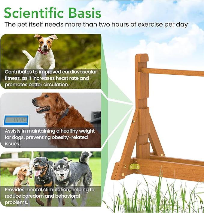 SuniBoxi Dog Agility Set, Wooden Dog Agility Jumps & Dog Hurdles, Dog Agility - Image 3