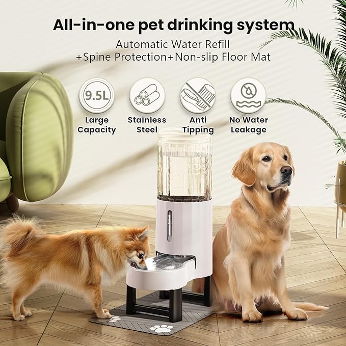 CZPET Elevated Dog Water Bowl Dispenser - Image 4