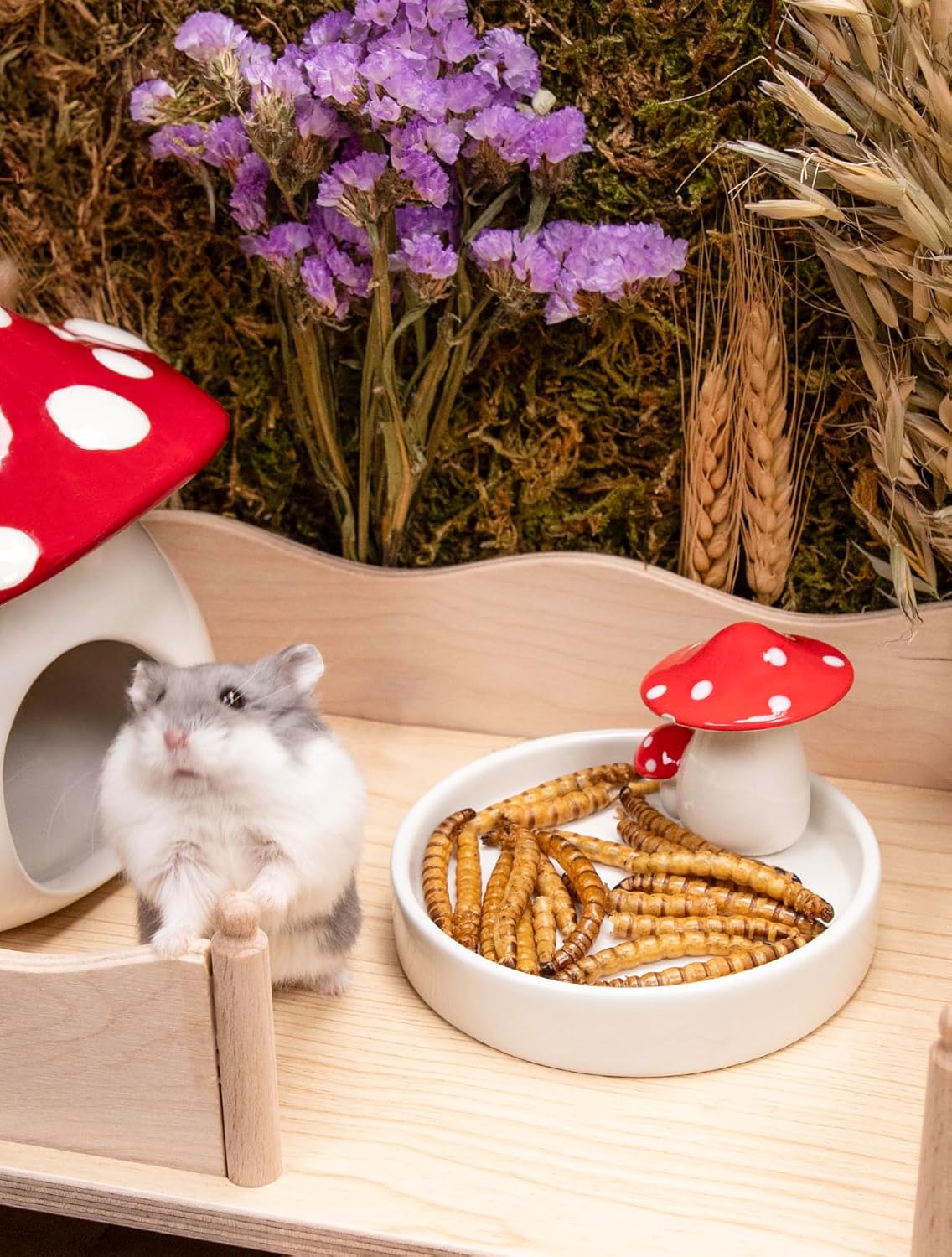 Niteangel Small Animal Snack & Treats - Small Critter Natural Treat for Dwarf Syrian Hamsters Gerbils Mice Sugar Glider Hedgehogs Chickens Birds (Dried Worms- 0.9oz (25g))
