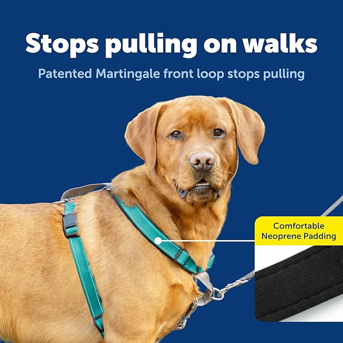 PetSafe 3 in 1 No-Pull Dog Harness - Image 3