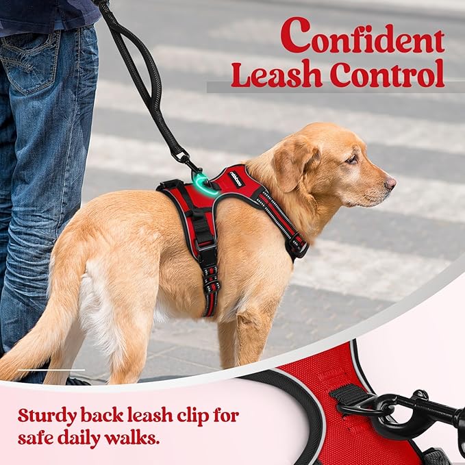 rabbitgoo Dog Harness, No-Pull Pet Harness - Image 6