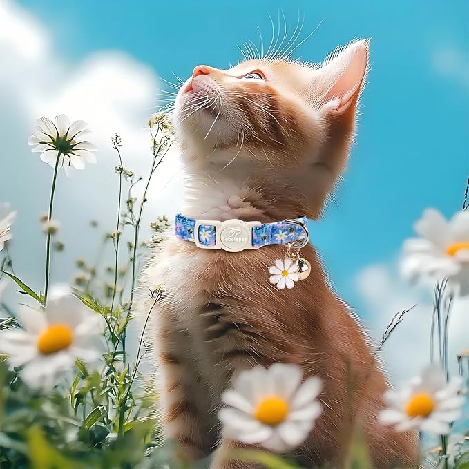 2 Pack Cute Cat Collars - Image 5