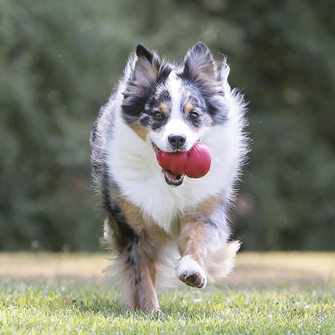 KONG Classic Stuffable Dog Toy - Image 3