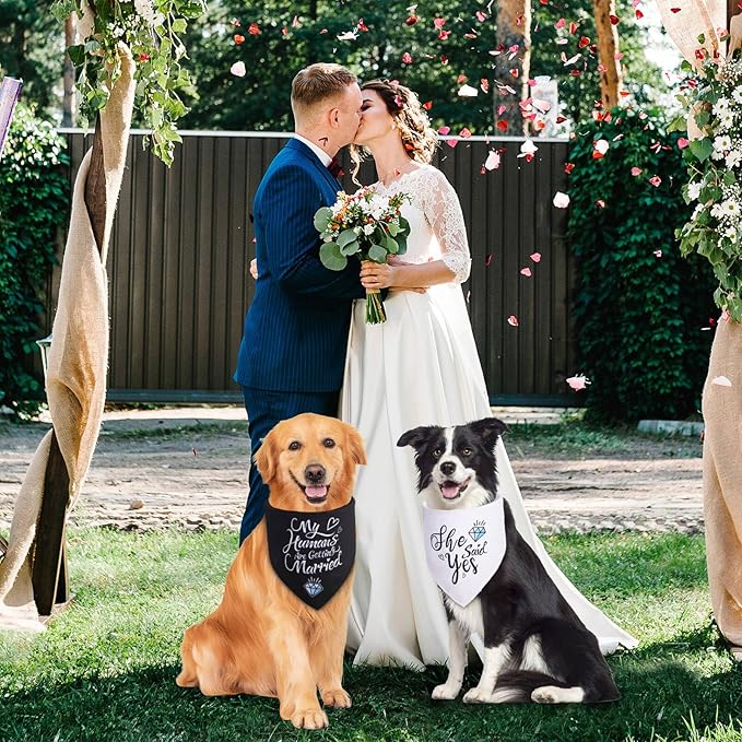 Engagement Gifts, My Humans are Getting Married She Said Yes Dog Bandana Large - Image 4