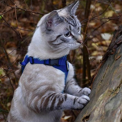 Voyager Step-in Lock Adjustable Cat Harness w. Cat Leash Combo Set - Image 2