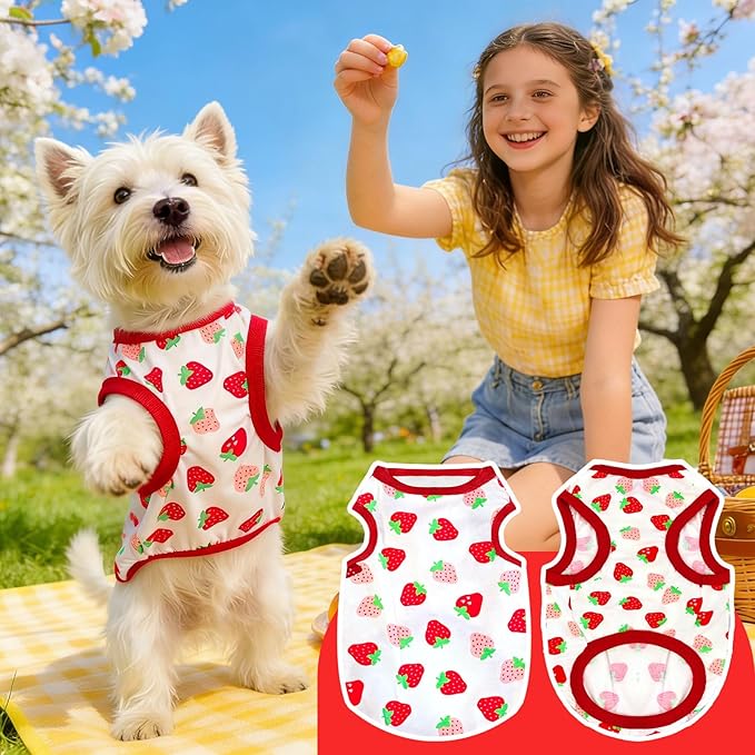 PETCARE Cartoon Dog Shirts for Small Dogs Cute Dog Clothes Red Strawberry - Image 6