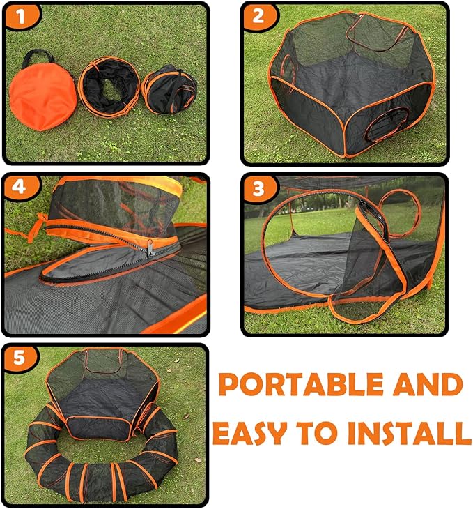 Outdoor Cat Enclosures for Indoor Cats - Image 3