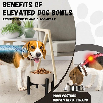Raised Ceramic Dog Bowl, 6.1'' Modern Feeding Bowl - Image 5